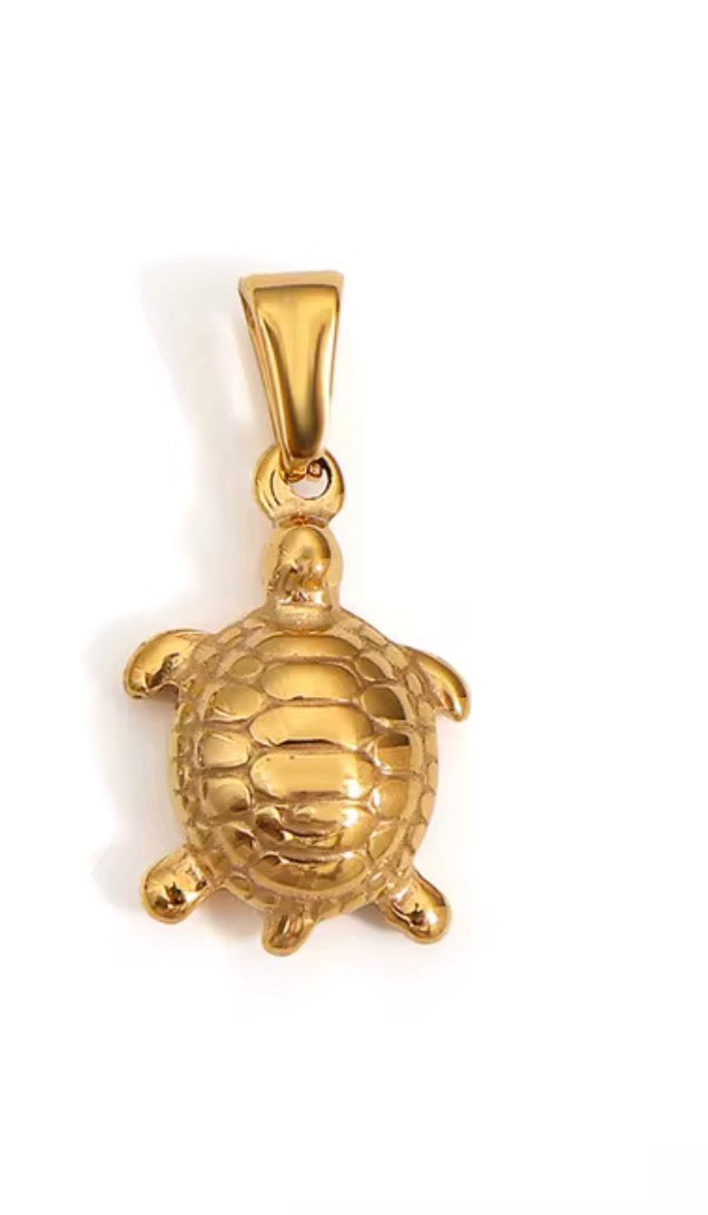 Golden Shell