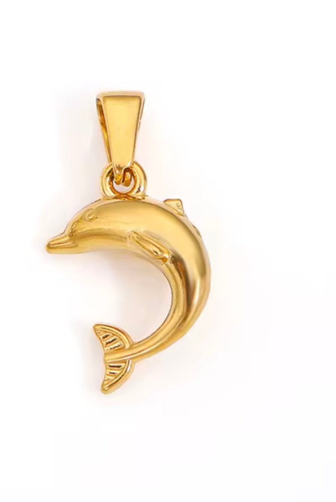 Dolphin Grace